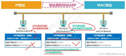 計(jì)算機(jī)網(wǎng)絡(luò)入門基礎(chǔ)篇 數(shù)據(jù)鏈路層（下）與相關(guān)技術(shù)開發(fā)服務(wù)